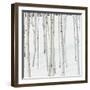 Aspen Trees in Snow-Micha Pawlitzki-Framed Photographic Print