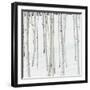 Aspen Trees in Snow-Micha Pawlitzki-Framed Photographic Print