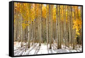 Aspen Trees in the Snow in Early Winter Time-SNEHITDESIGN-Framed Stretched Canvas