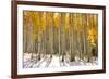 Aspen Trees in the Snow in Early Winter Time-SNEHITDESIGN-Framed Photographic Print