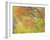 Aspen Trees IV-Donald Paulson-Framed Giclee Print