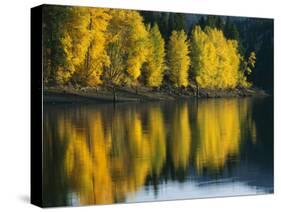 Aspen trees, Patterson Lake, Methow Valley, Washington, USA-Charles Gurche-Stretched Canvas