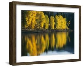 Aspen trees, Patterson Lake, Methow Valley, Washington, USA-Charles Gurche-Framed Premium Photographic Print