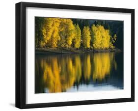 Aspen trees, Patterson Lake, Methow Valley, Washington, USA-Charles Gurche-Framed Premium Photographic Print