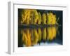 Aspen trees, Patterson Lake, Methow Valley, Washington, USA-Charles Gurche-Framed Premium Photographic Print