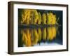 Aspen trees, Patterson Lake, Methow Valley, Washington, USA-Charles Gurche-Framed Photographic Print