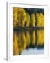 Aspen trees, Patterson Lake, Methow Valley, Washington, USA-Charles Gurche-Framed Premium Photographic Print