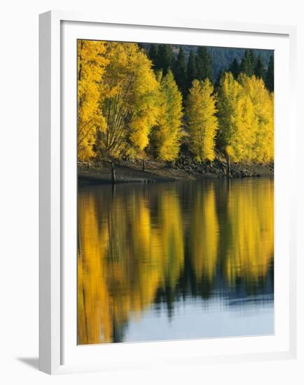 Aspen trees, Patterson Lake, Methow Valley, Washington, USA-Charles Gurche-Framed Premium Photographic Print