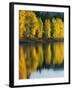 Aspen trees, Patterson Lake, Methow Valley, Washington, USA-Charles Gurche-Framed Premium Photographic Print