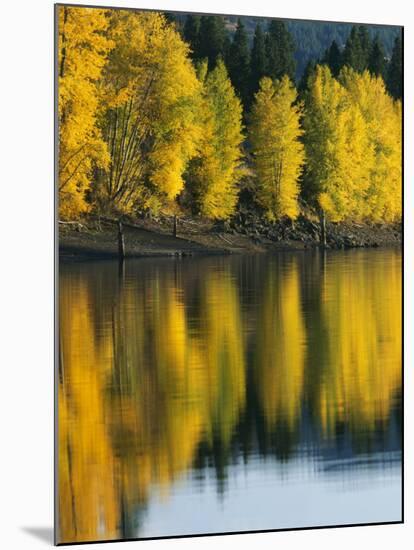 Aspen trees, Patterson Lake, Methow Valley, Washington, USA-Charles Gurche-Mounted Premium Photographic Print