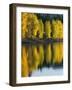 Aspen trees, Patterson Lake, Methow Valley, Washington, USA-Charles Gurche-Framed Photographic Print