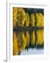 Aspen trees, Patterson Lake, Methow Valley, Washington, USA-Charles Gurche-Framed Photographic Print