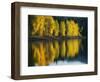 Aspen trees, Patterson Lake, Methow Valley, Washington, USA-Charles Gurche-Framed Photographic Print