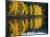 Aspen trees, Patterson Lake, Methow Valley, Washington, USA-Charles Gurche-Mounted Photographic Print