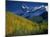 Aspen Trees, San Juan Mts, Colorado-David Carriere-Mounted Premium Photographic Print