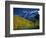 Aspen Trees, San Juan Mts, Colorado-David Carriere-Framed Photographic Print