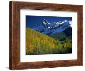 Aspen Trees, San Juan Mts, Colorado-David Carriere-Framed Photographic Print