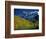 Aspen Trees, San Juan Mts, Colorado-David Carriere-Framed Photographic Print