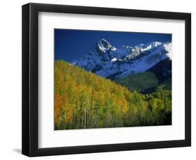 Aspen Trees, San Juan Mts, Colorado-David Carriere-Framed Photographic Print