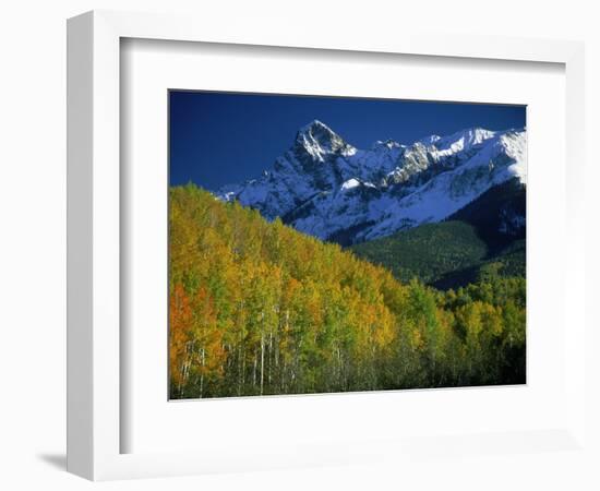 Aspen Trees, San Juan Mts, Colorado-David Carriere-Framed Photographic Print
