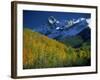 Aspen Trees, San Juan Mts, Colorado-David Carriere-Framed Photographic Print