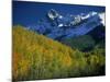 Aspen Trees, San Juan Mts, Colorado-David Carriere-Mounted Photographic Print
