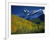 Aspen Trees, San Juan Mts, Colorado-David Carriere-Framed Photographic Print