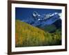 Aspen Trees, San Juan Mts, Colorado-David Carriere-Framed Photographic Print