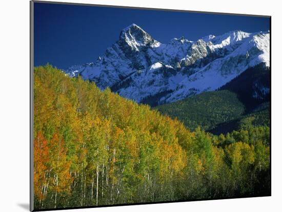 Aspen Trees, San Juan Mts, Colorado-David Carriere-Mounted Photographic Print