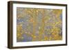 Aspen Trees, White River National Forest Colorado, USA-Charles Gurche-Framed Photographic Print