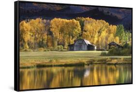Aspen Trees with Barn-Jamie Cook-Framed Stretched Canvas