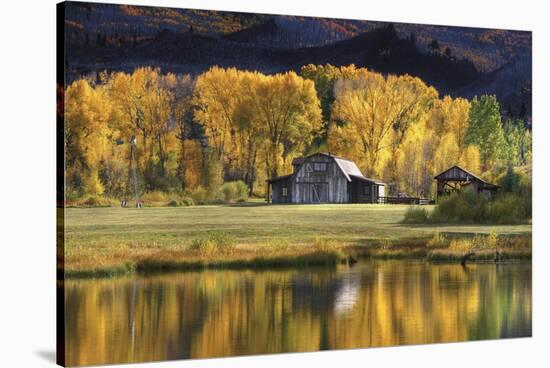 Aspen Trees with Barn-Jamie Cook-Stretched Canvas