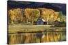 Aspen Trees with Barn-Jamie Cook-Stretched Canvas