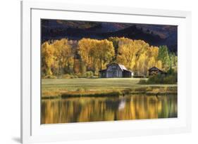 Aspen Trees with Barn-Jamie Cook-Framed Giclee Print