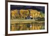 Aspen Trees with Barn-Jamie Cook-Framed Giclee Print