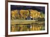 Aspen Trees with Barn-Jamie Cook-Framed Giclee Print