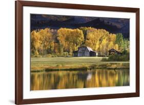 Aspen Trees with Barn-Jamie Cook-Framed Giclee Print