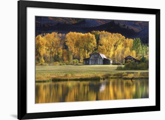 Aspen Trees with Barn-Jamie Cook-Framed Giclee Print