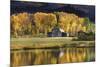 Aspen Trees with Barn-Jamie Cook-Mounted Giclee Print