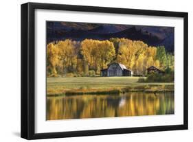 Aspen Trees with Barn-Jamie Cook-Framed Giclee Print