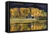 Aspen Trees with Barn-Jamie Cook-Framed Stretched Canvas