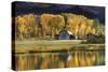 Aspen Trees with Barn-Jamie Cook-Stretched Canvas