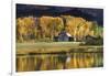 Aspen Trees with Barn-Jamie Cook-Framed Giclee Print