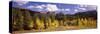 Aspen Trees with Mountains in the Background, Colorado, USA-null-Stretched Canvas