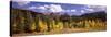 Aspen Trees with Mountains in the Background, Colorado, USA-null-Stretched Canvas