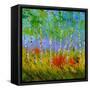 Aspen Trees-Pol Ledent-Framed Stretched Canvas