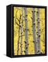 Aspen Trunks and Fall Foliage, Near Telluride, Colorado, United States of America, North America-James Hager-Framed Stretched Canvas