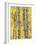 Aspen Trunks and Fall Foliage, Near Telluride, Colorado, United States of America, North America-James Hager-Framed Photographic Print