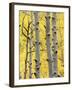 Aspen Trunks and Fall Foliage, Near Telluride, Colorado, United States of America, North America-James Hager-Framed Photographic Print