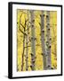 Aspen Trunks and Fall Foliage, Near Telluride, Colorado, United States of America, North America-James Hager-Framed Photographic Print